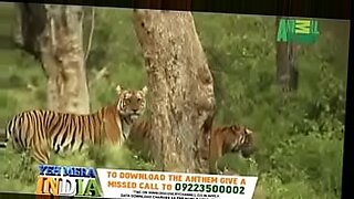 animals sex with girl fucking