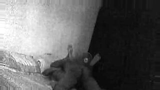 corridas-caseras-v-porno