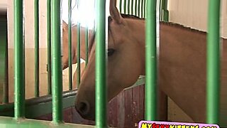 horse and girl sex videoxxxx