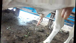 local indian girls sex videos
