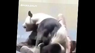 big sex bull full