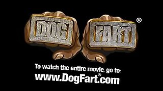 gay-teen-beg-like-dog-videos