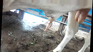 xxxx ass video pakistan