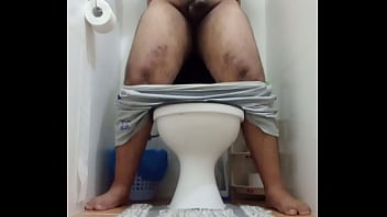 japanese beach toilet 6