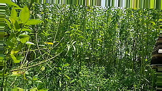 redtube-shednew