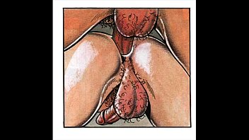 anal positions